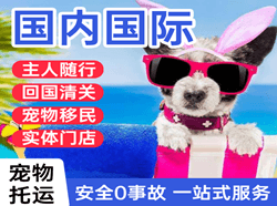 库尔勒梨城国际宠物托运 【国